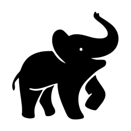 Burkindi logo